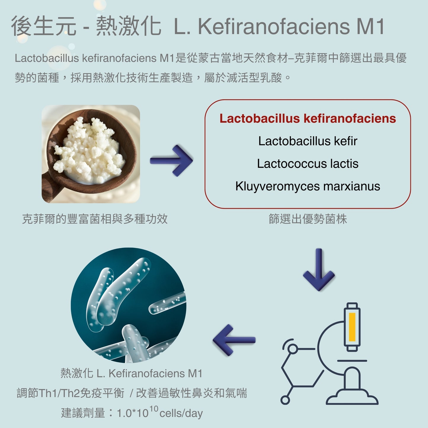 【Urbios優益生】新淨敏系列 M1配方:LP28防護專利益生菌