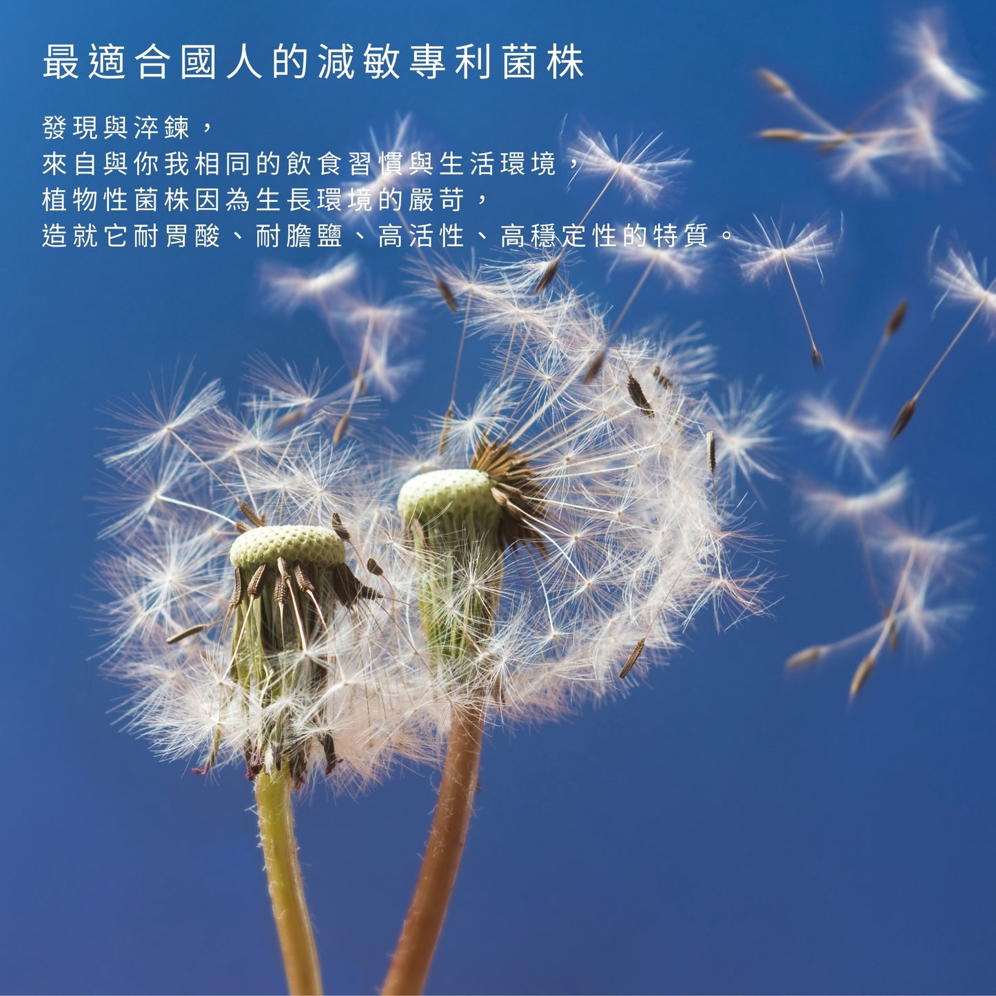 【Urbios優益生】新淨敏系列 M1配方:LP28防護專利益生菌
