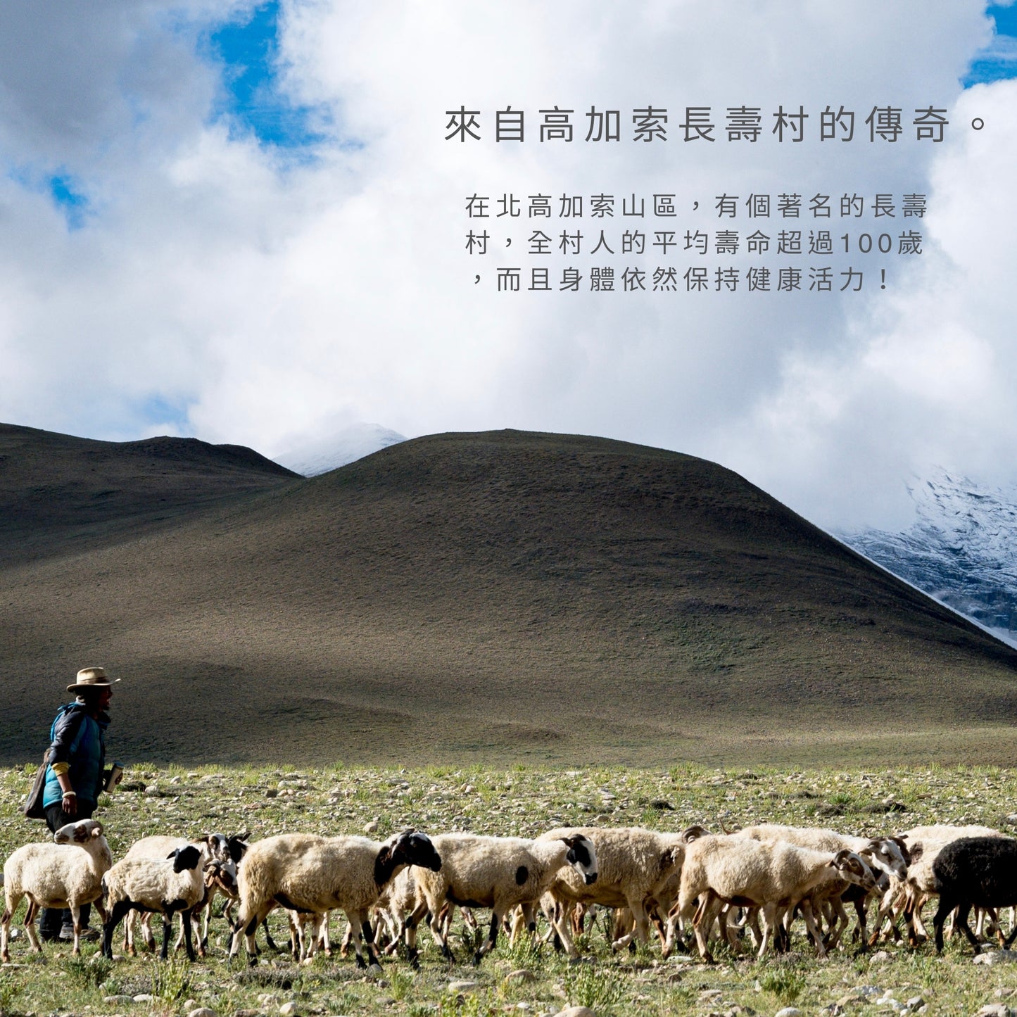 【Urbios優益生】新清暢系列 升級配方:AB Kefir包埋專利益生菌