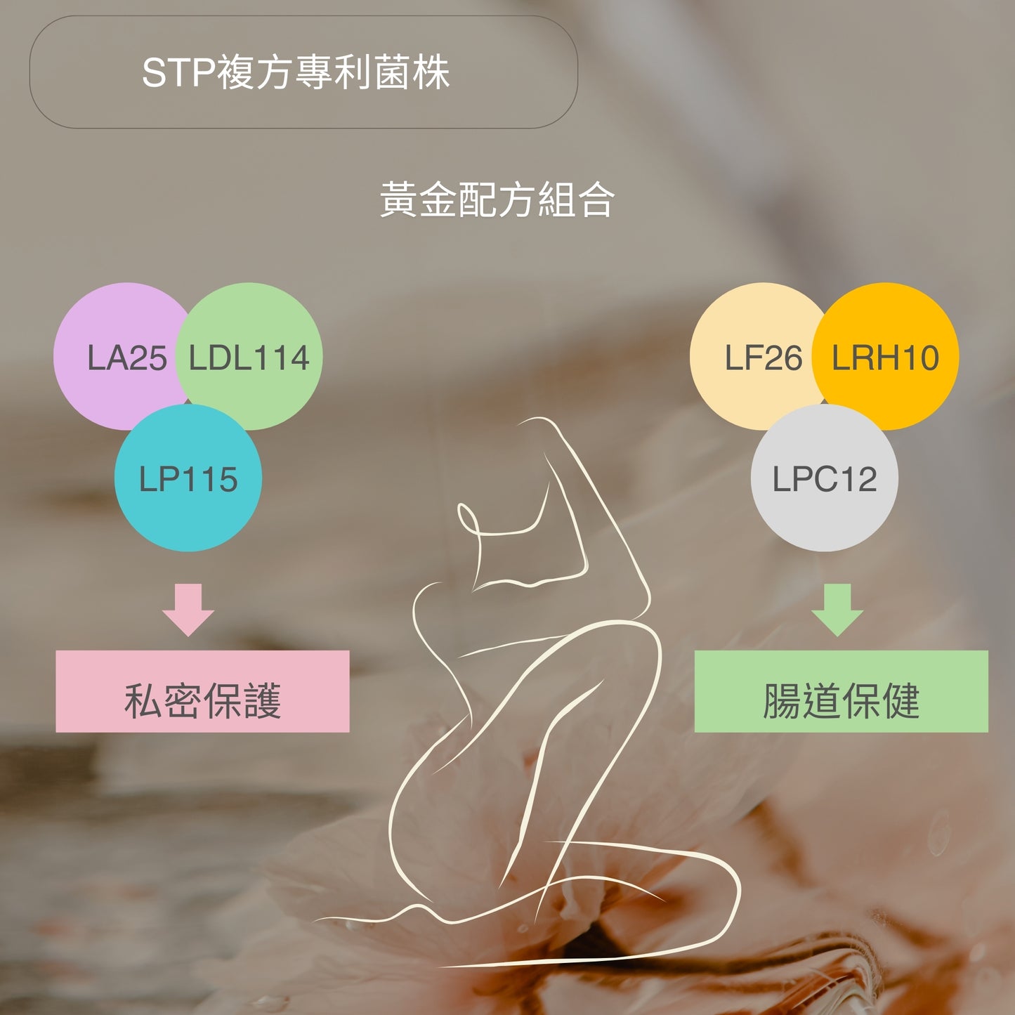 【Urbios優益生】靚妍系列 輕纖配方:STP複方專利益生菌