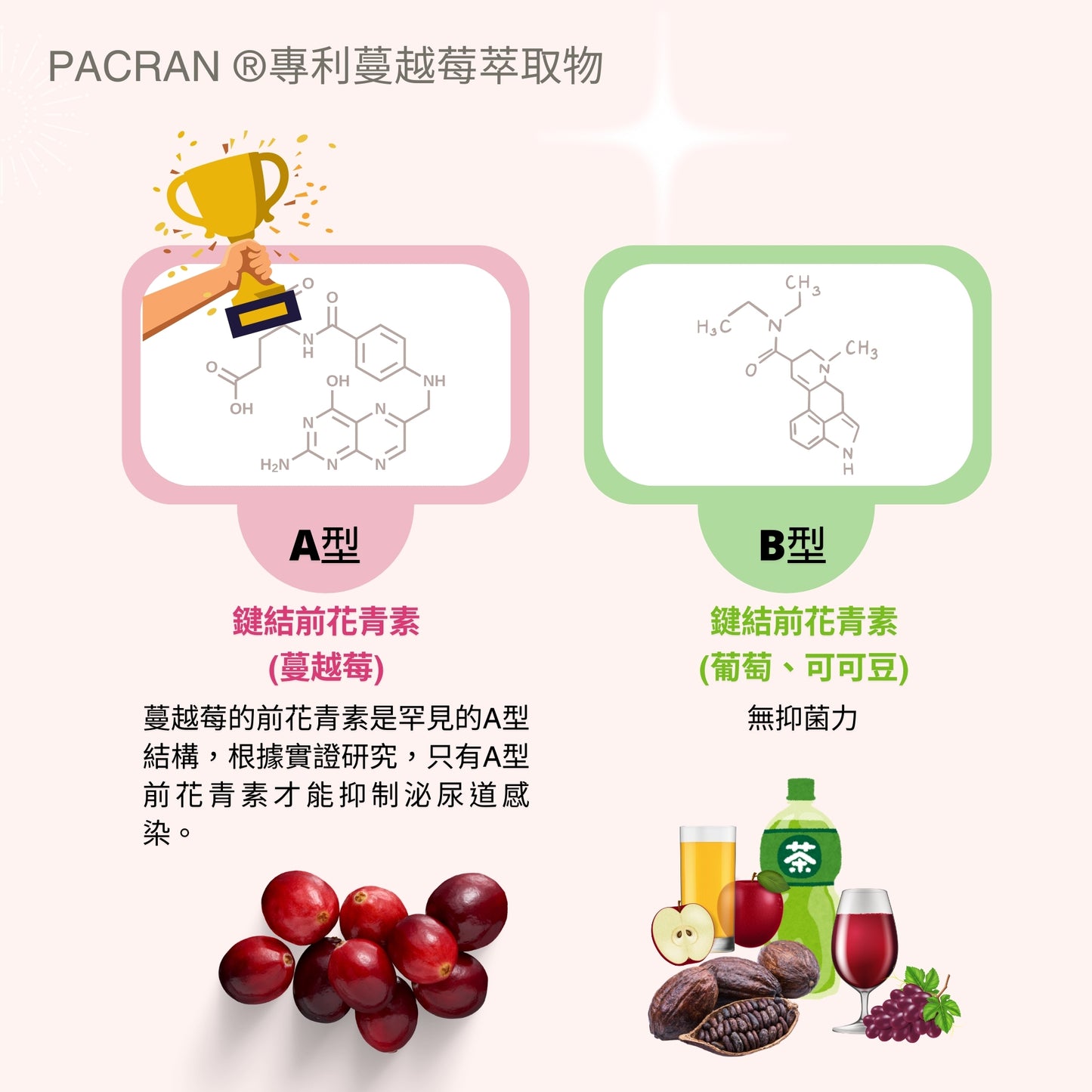 【Urbios優益生】靚妍系列 輕纖配方:STP複方專利益生菌