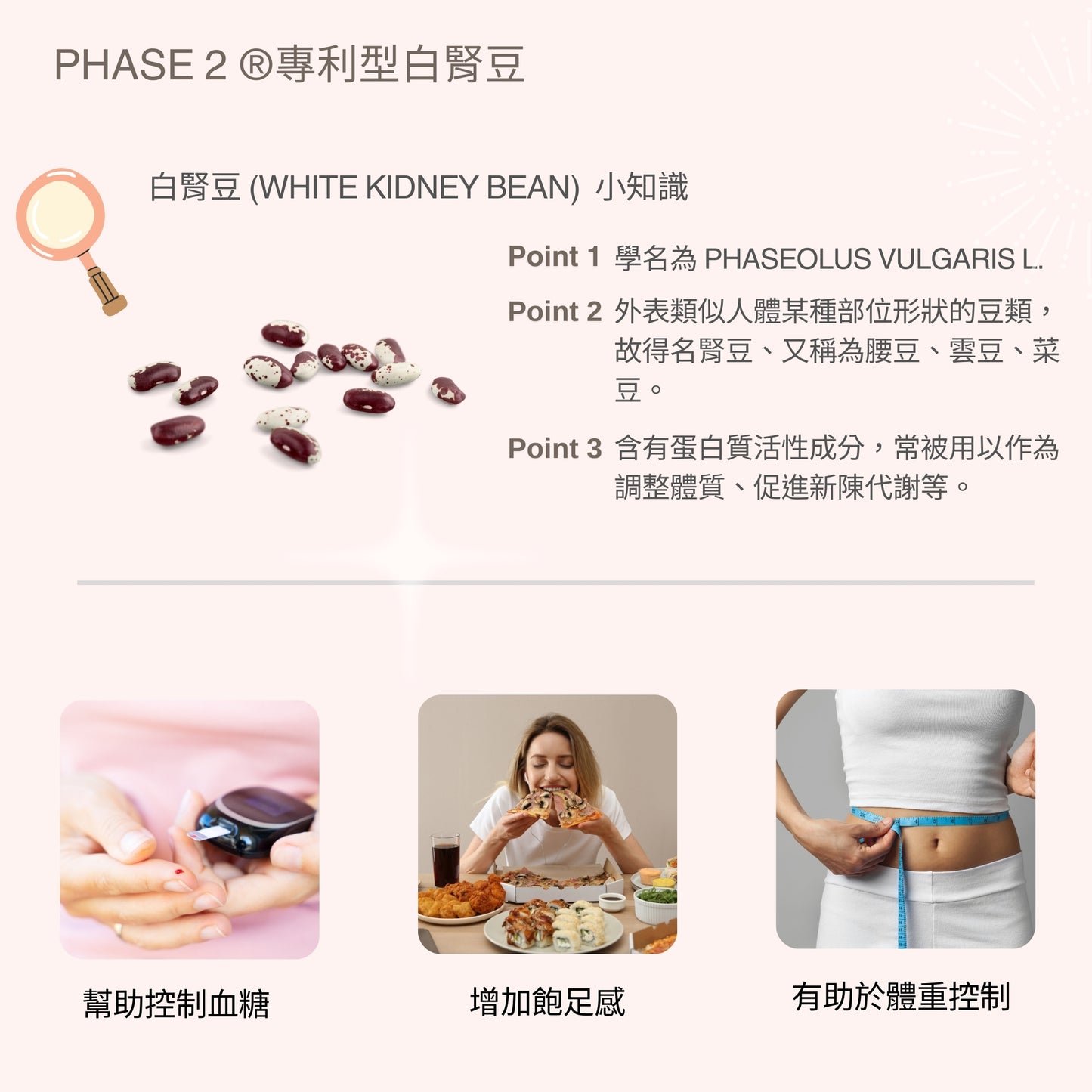 【Urbios優益生】靚妍系列 輕纖配方:STP複方專利益生菌