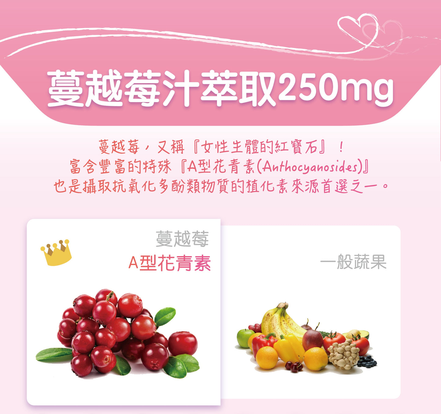 【Urbios優益生】靚妍系列:STP複方專利益生菌 (10盒組,一盒30入,共300入)